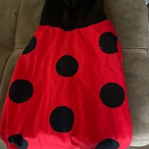 Medium dog Halloween costume lady bug